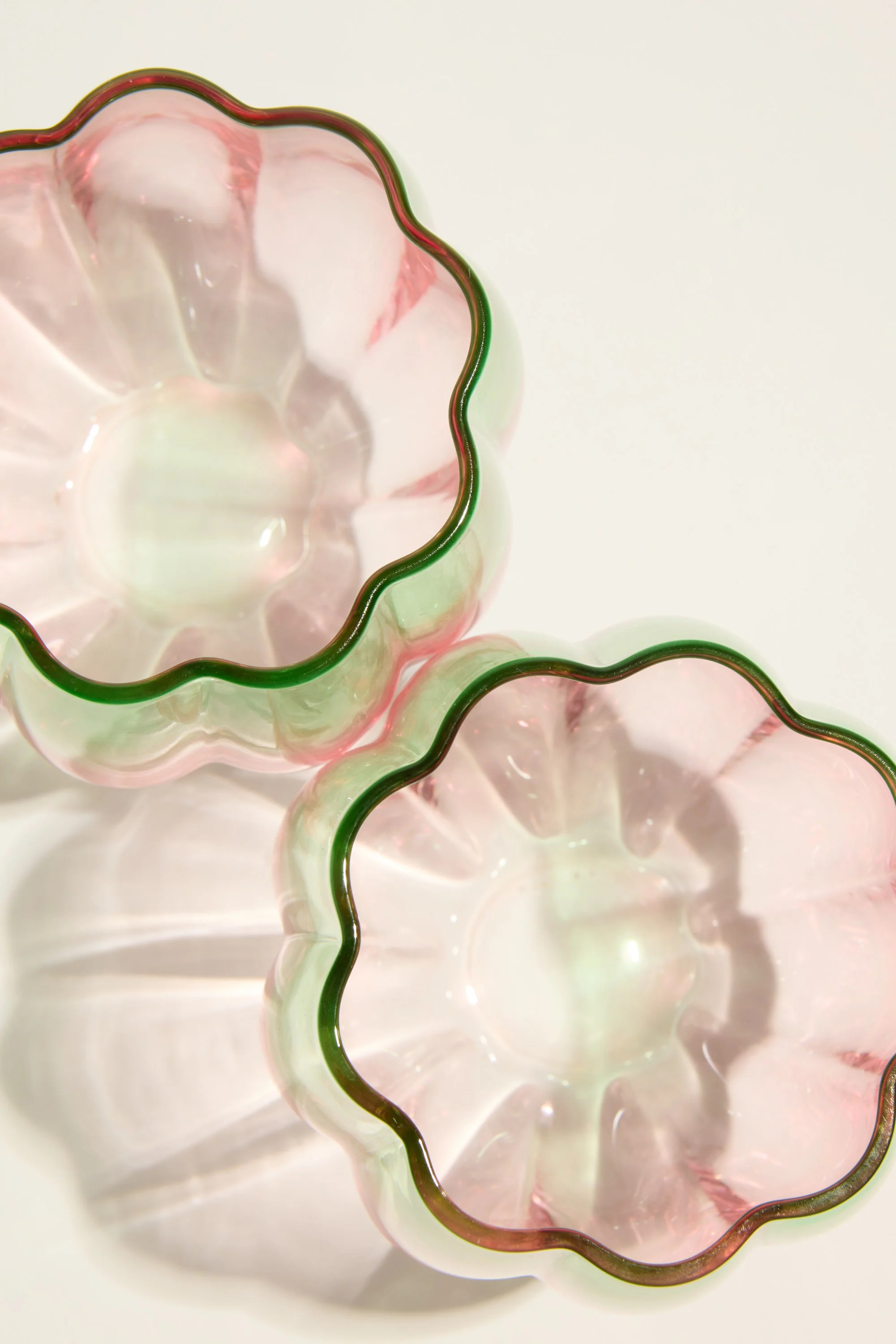 Homelab Petal Stemless Glass Set