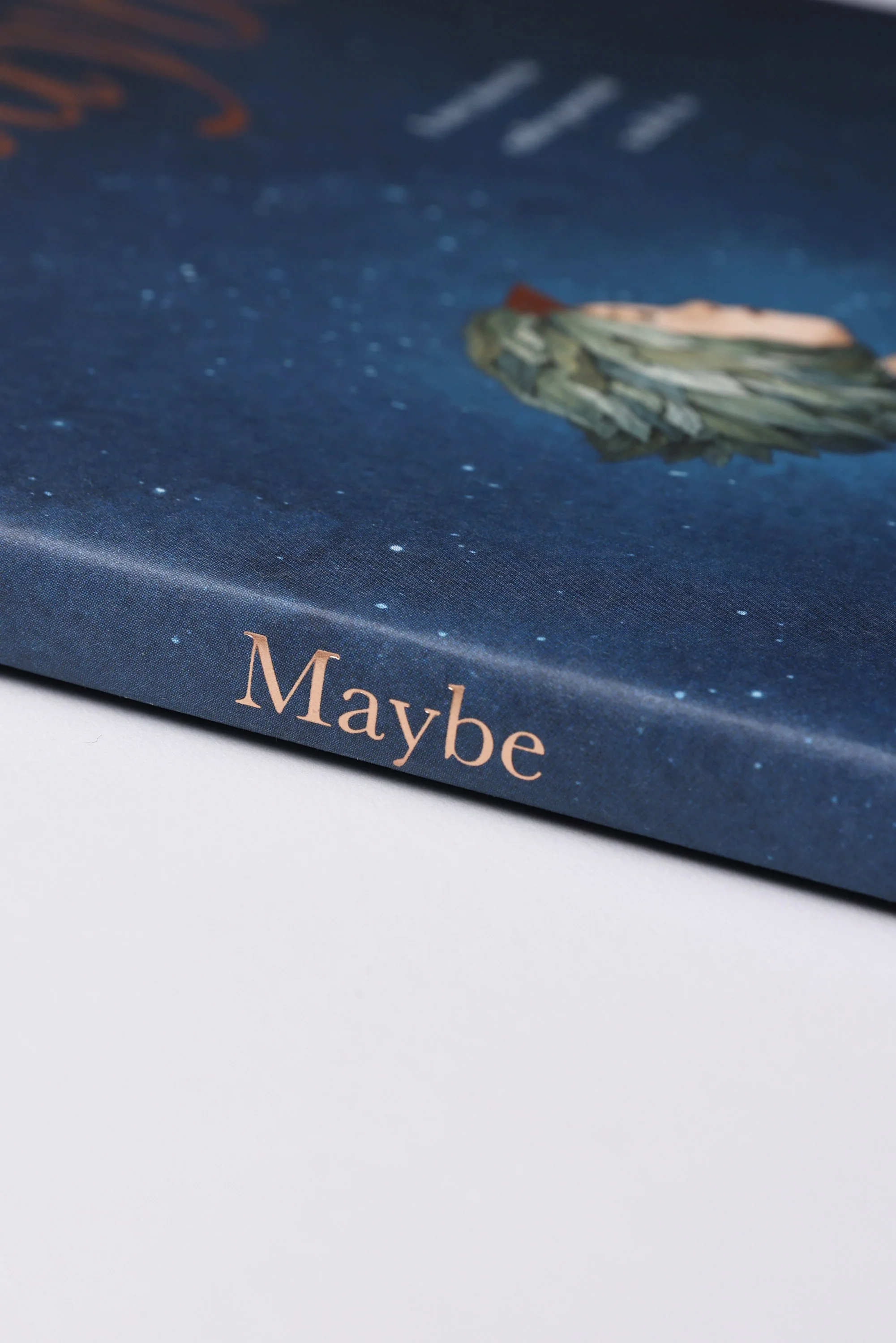 Maybe Book - Image 2